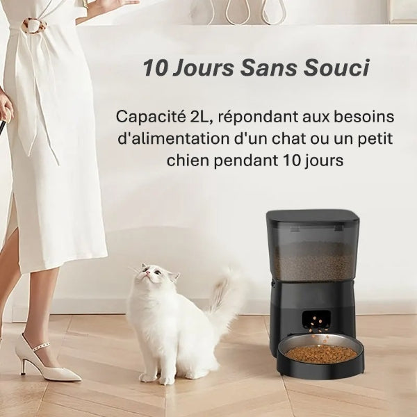 Mangeoire automatique premium | Repas Programmés pour chiens & chats heureux