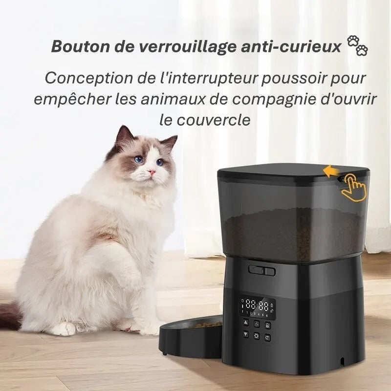 Mangeoire automatique premium | Repas Programmés pour chiens & chats heureux