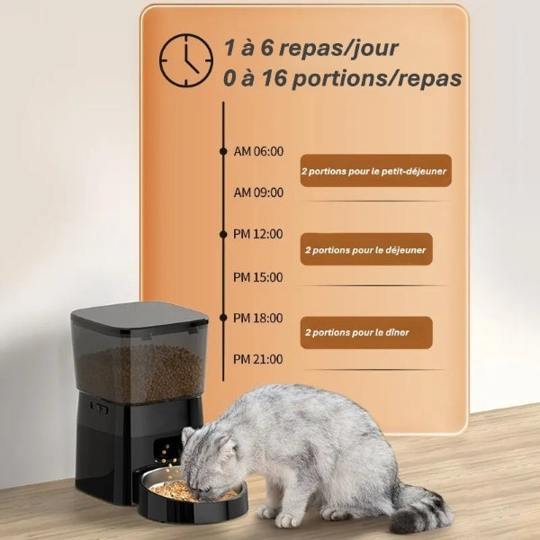 Mangeoire automatique premium | Repas Programmés pour chiens & chats heureux
