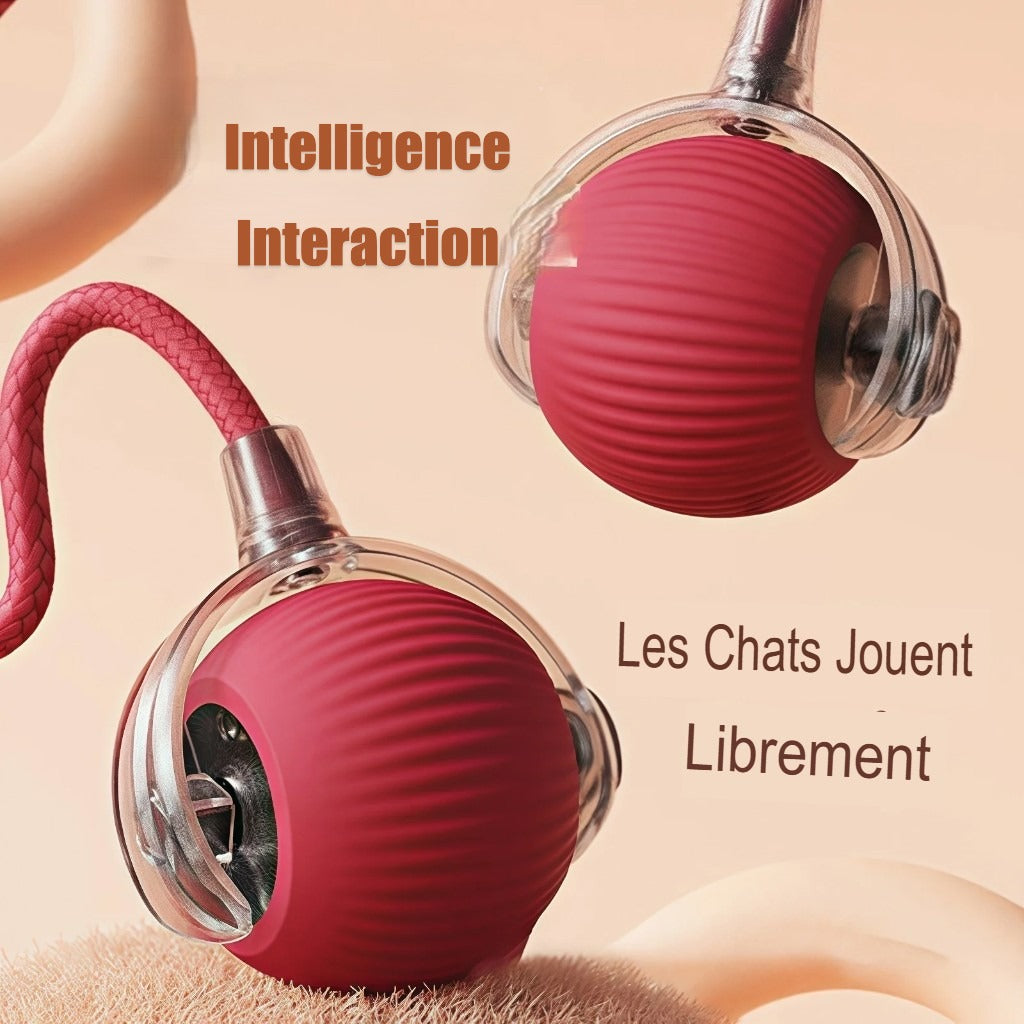 Jouet interactif intelligent pour chiens & chats – Complicité et stimulation au quotidien
