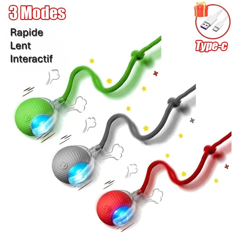 Jouet interactif intelligent pour chiens & chats – Complicité et stimulation au quotidien