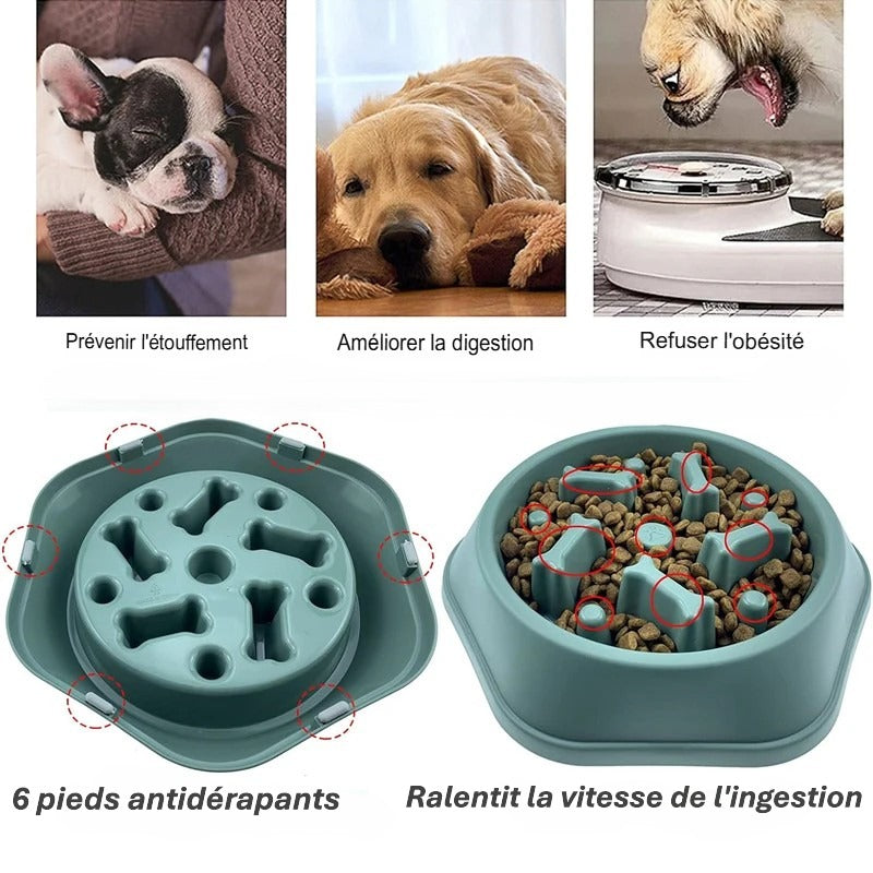 Gamelle anti glouton pour chien – Bol à ingestion lente, antidérapant et ludique