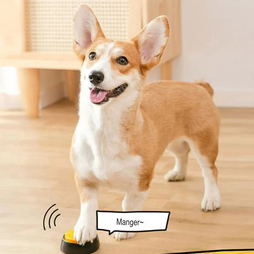 Boutons vocaux intelligents pour animaux | Communication & Dressage ludique