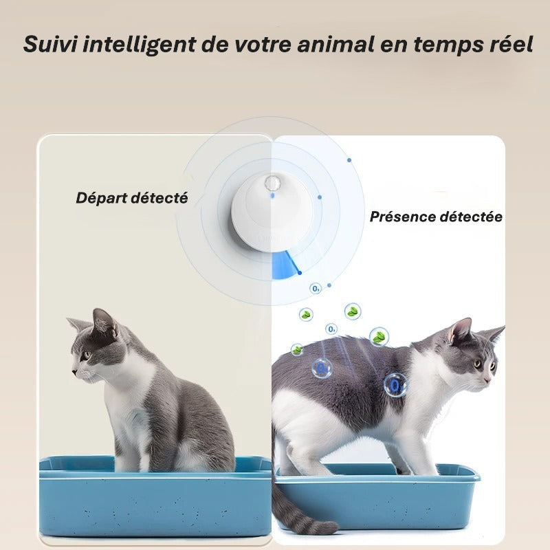 Désodorisant intelligent pour litière de chat – Purificateur automatique, rechargeable & Silencieux