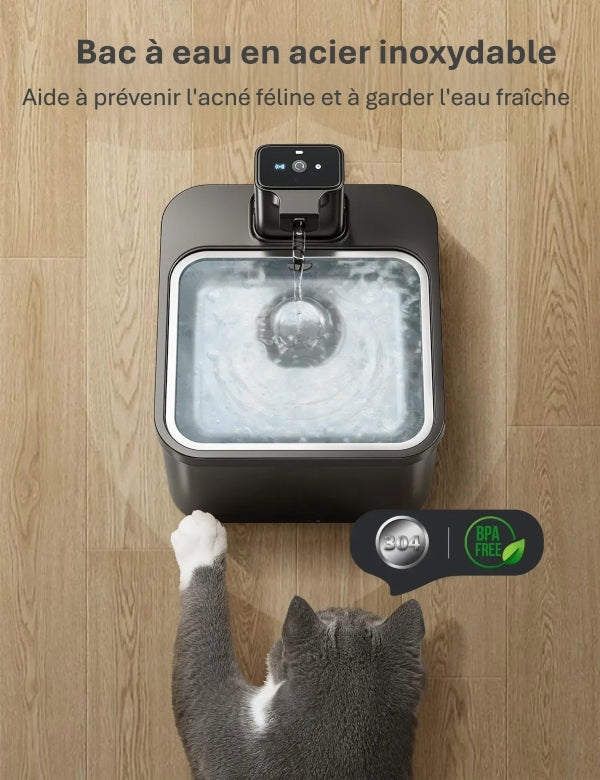 Fontaine à eau automatique en acier inoxydable pour chat |Eau pure et fraîche en Continu