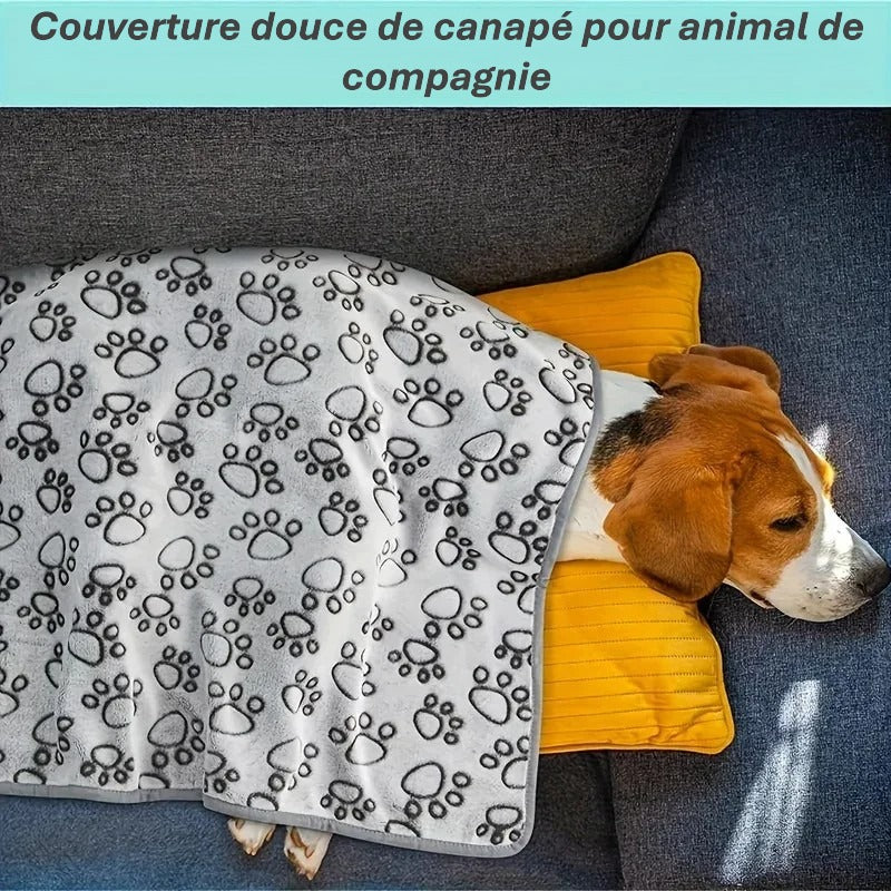 Couverture moelleuse premium pour animaux | Motif mignon ; Douceur absolue pour chien &chat