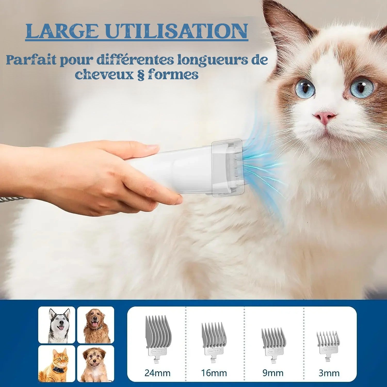 Aspirateur et kit de toilettage pour animaux de compagnie