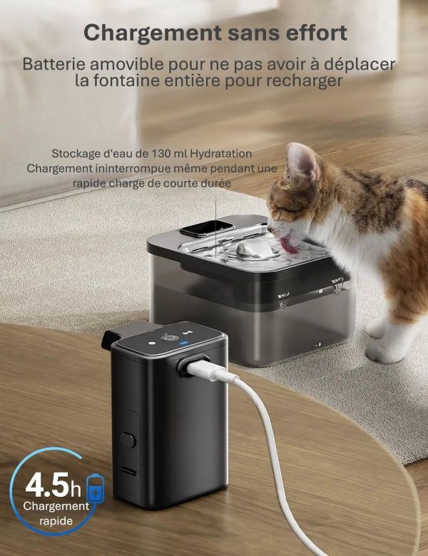Fontaine à eau automatique en acier inoxydable pour chat |Eau pure et fraîche en Continu