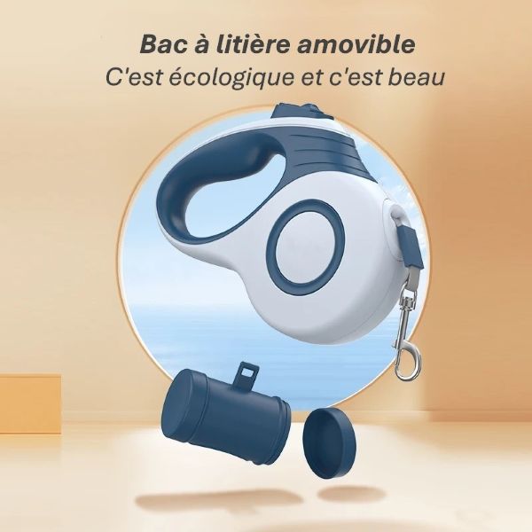 Laisse Rétractable Automatique pour Chien & Chat | Marche, Voyage & Randonnée