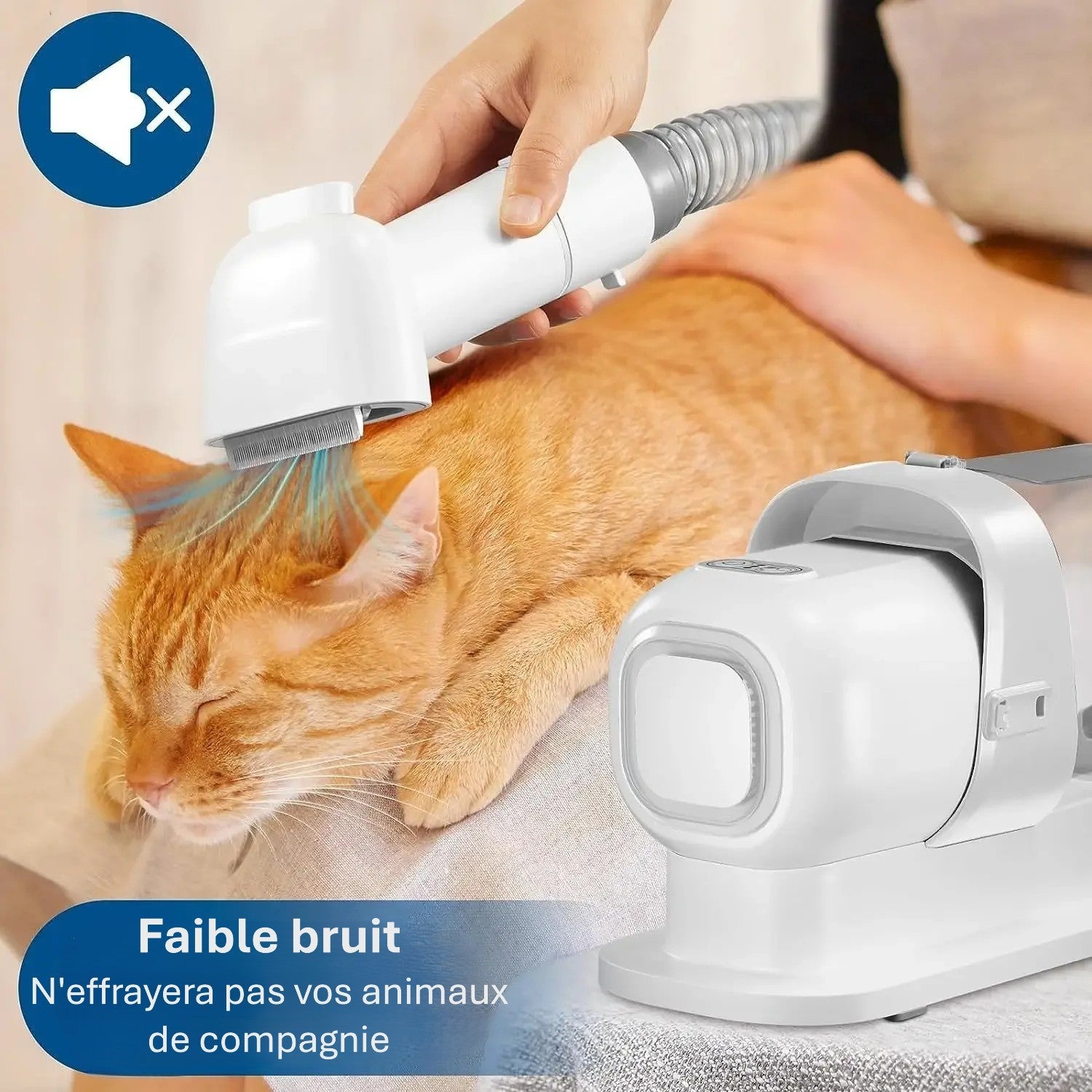 Aspirateur et kit de toilettage pour animaux de compagnie
