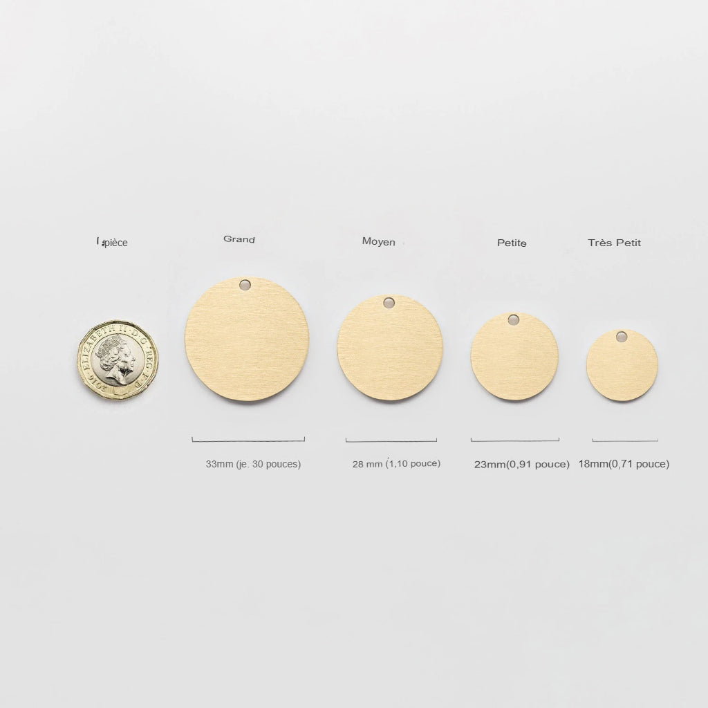 Accessoires personnalisés de collier d'identification des animaux de compagnie