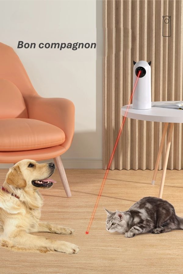 Jouet Interactif Intelligent pour Chats & Chiens | Laser LED Automatique & Portable