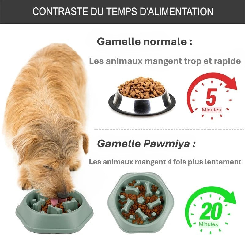 Gamelle anti glouton pour chien – Bol à ingestion lente, antidérapant et ludique