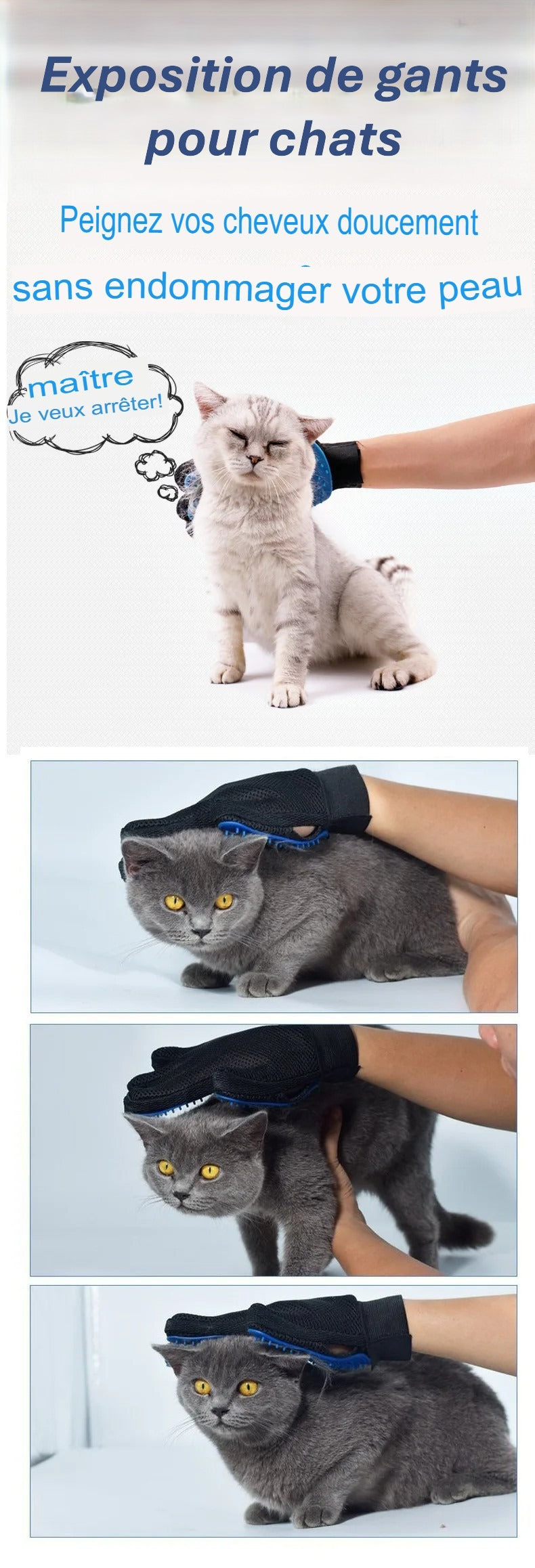 Gants de toilettage pour animaux de compagnie