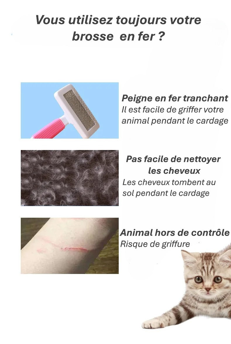 Gants de toilettage pour animaux de compagnie