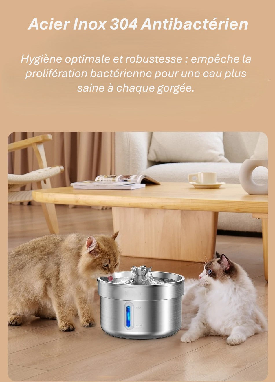 Fontaine à eau automatique en inox pour animaux | Design élégant & Hydratation intelligente