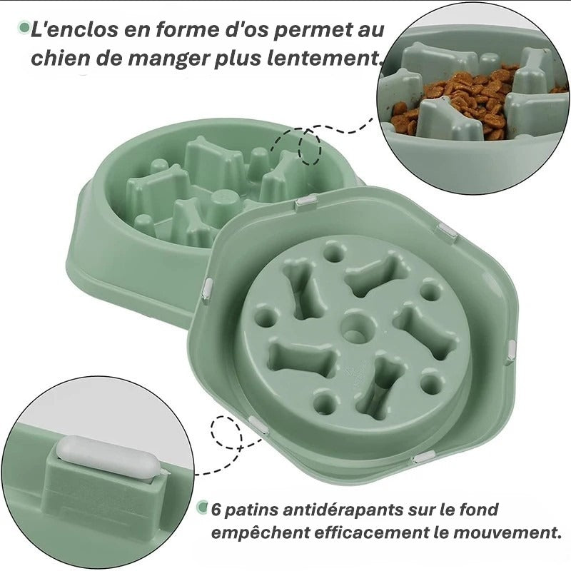 Gamelle anti glouton pour chien – Bol à ingestion lente, antidérapant et ludique