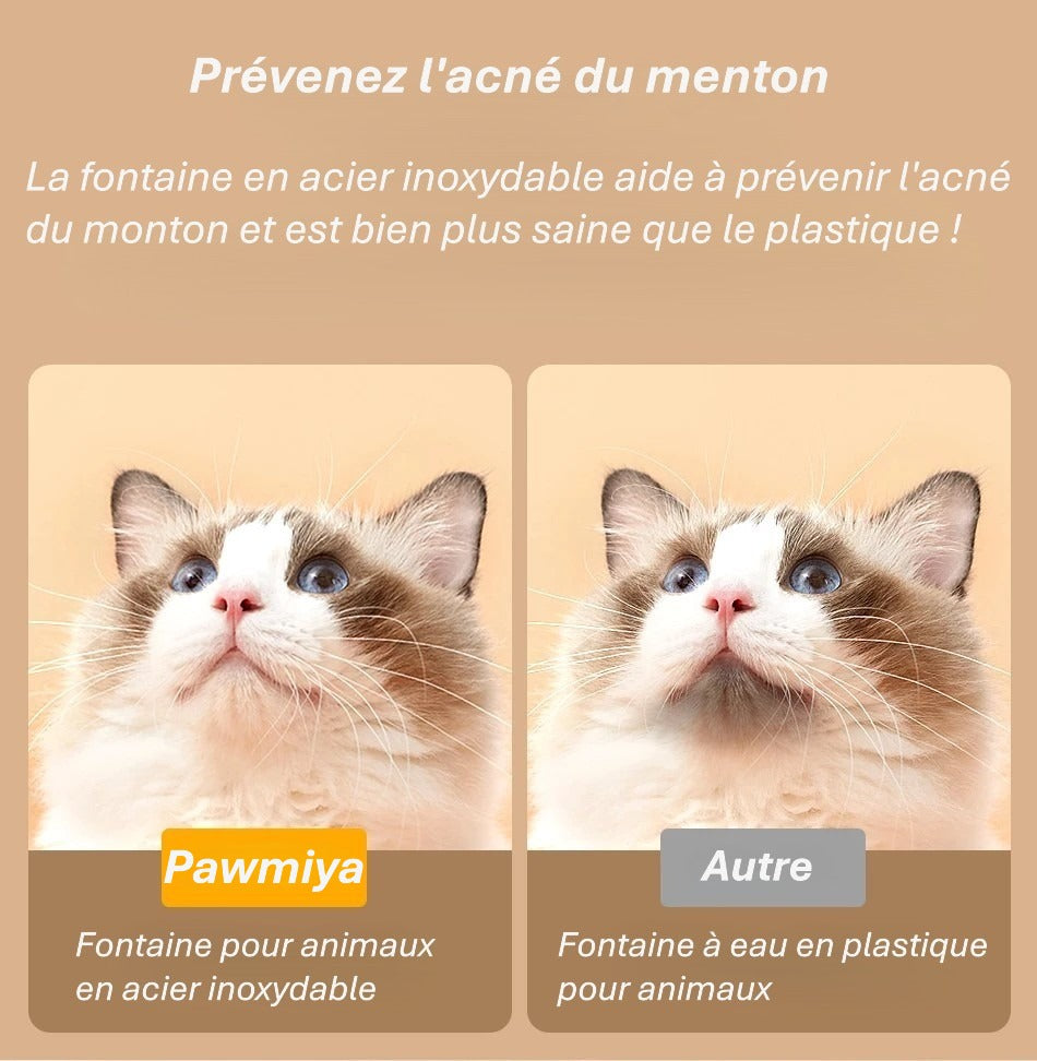 Fontaine à eau automatique en inox pour animaux | Design élégant & Hydratation intelligente