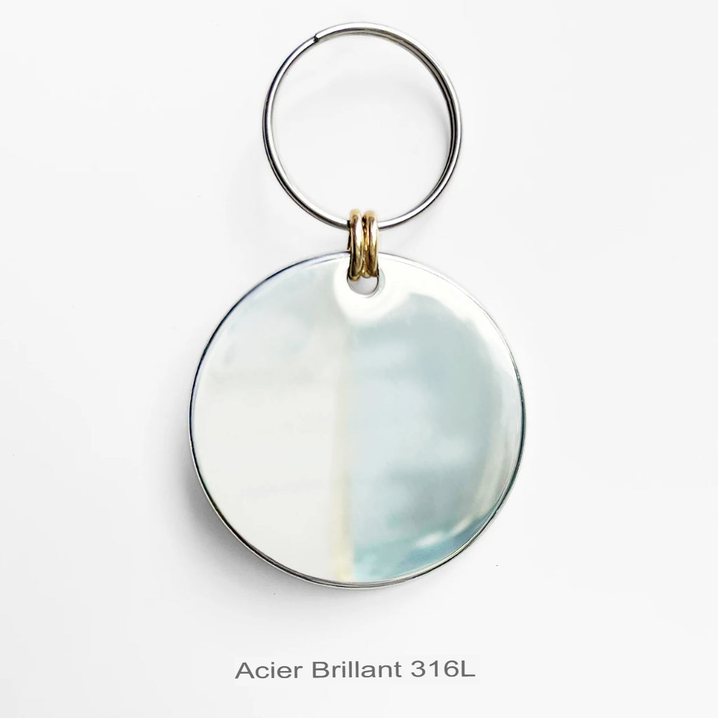 Accessoires personnalisés de collier d'identification des animaux de compagnie