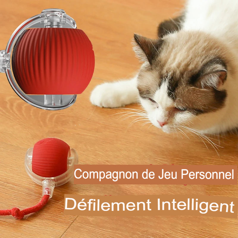 Jouet interactif intelligent pour chiens & chats – Complicité et stimulation au quotidien
