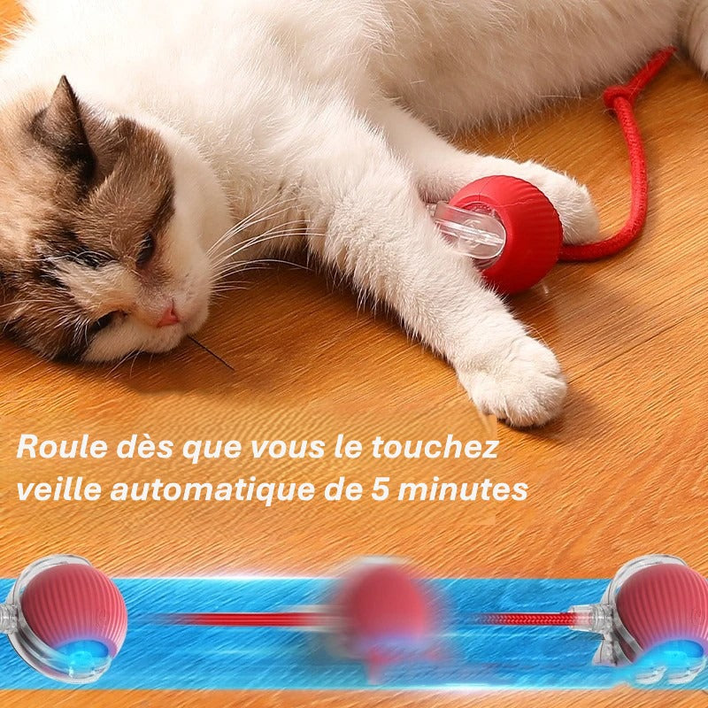 Jouet interactif intelligent pour chiens & chats – Complicité et stimulation au quotidien