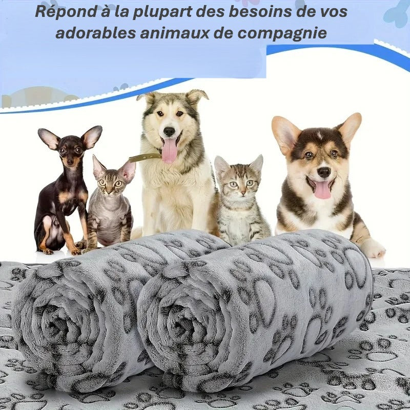 Couverture moelleuse premium pour animaux | Motif mignon ; Douceur absolue pour chien &chat
