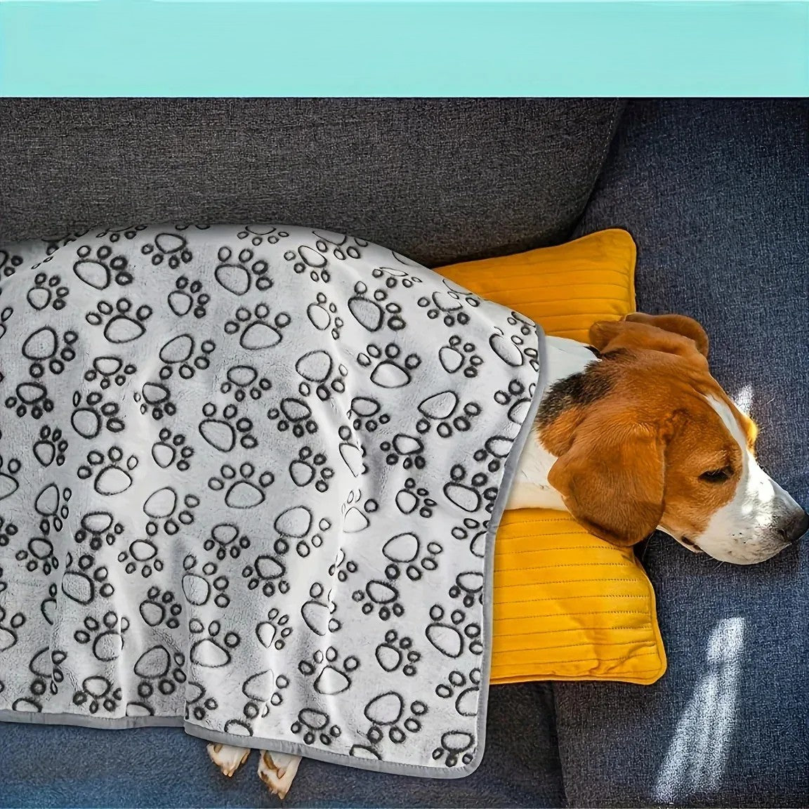 Couverture moelleuse premium pour animaux | Motif mignon ; Douceur absolue pour chien &chat