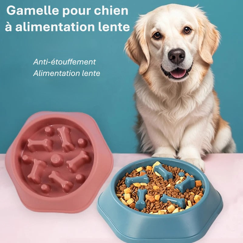 Gamelle anti glouton pour chien – Bol à ingestion lente, antidérapant et ludique