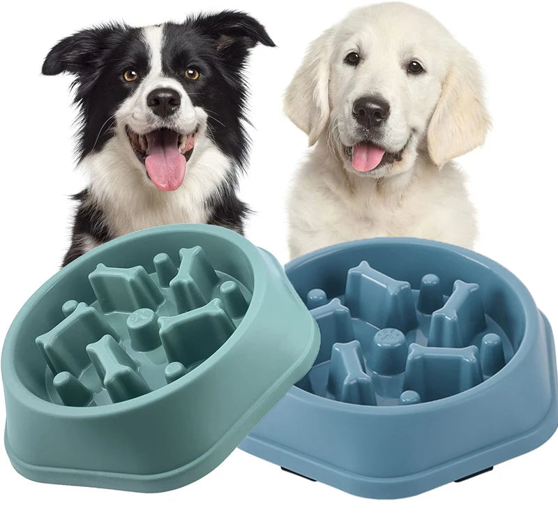 Gamelle anti glouton pour chien – Bol à ingestion lente, antidérapant et ludique