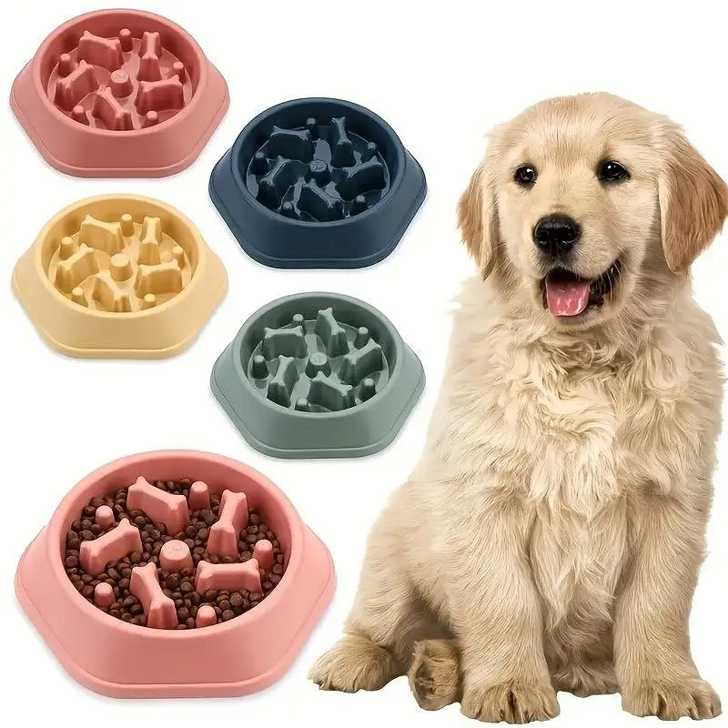 Gamelle anti glouton pour chien – Bol à ingestion lente, antidérapant et ludique