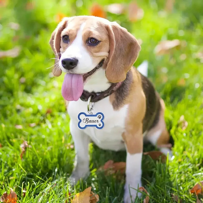 Médaille Pailletée Double Face Personnalisée pour Chien & Chat | Élégance & Sécurité