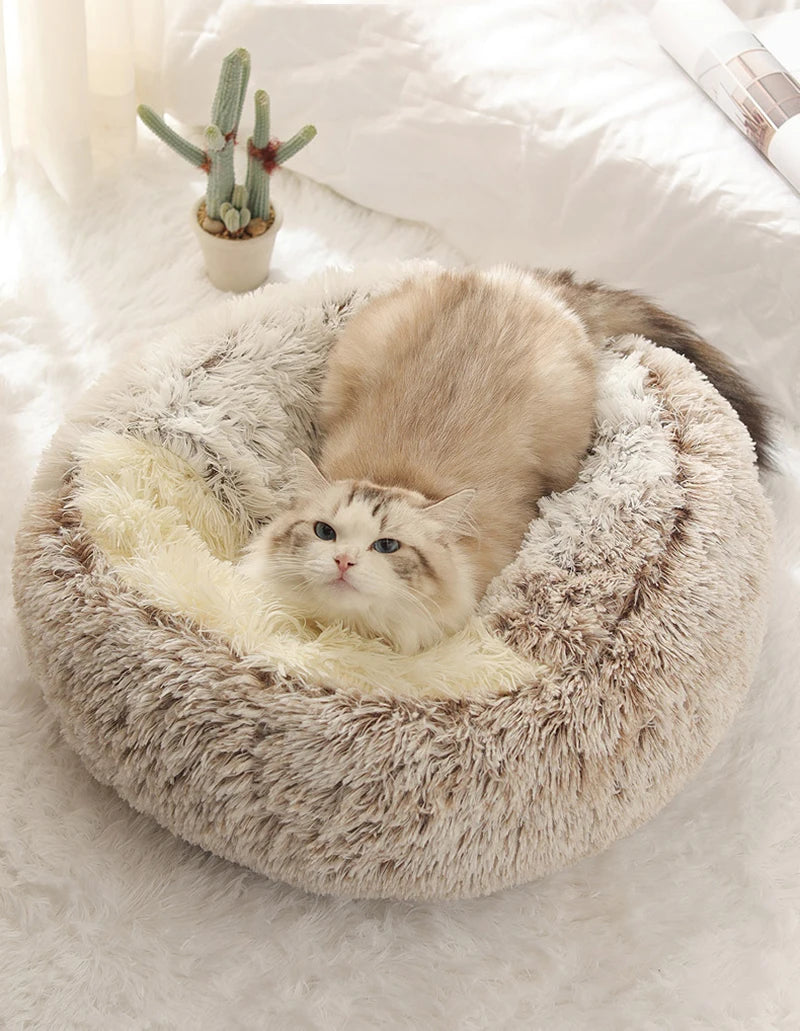Nid douillet en peluche pour chat & petit chien | Lit rond avec couverture Intégrée