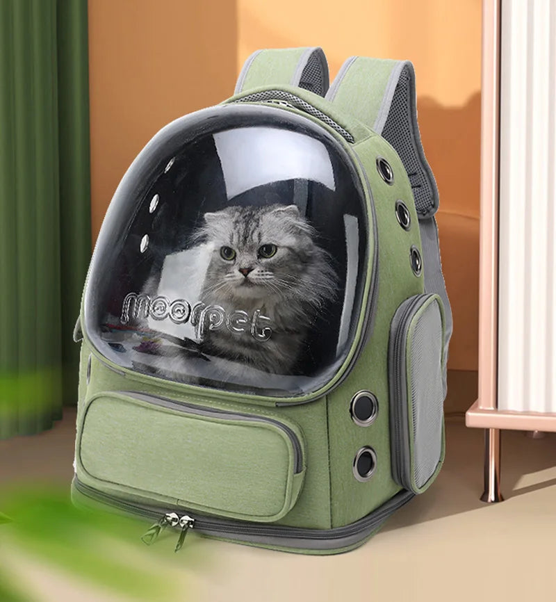 Sac à dos transparent pour chat & Petit chien | Transport aéré & Élégant en voyage