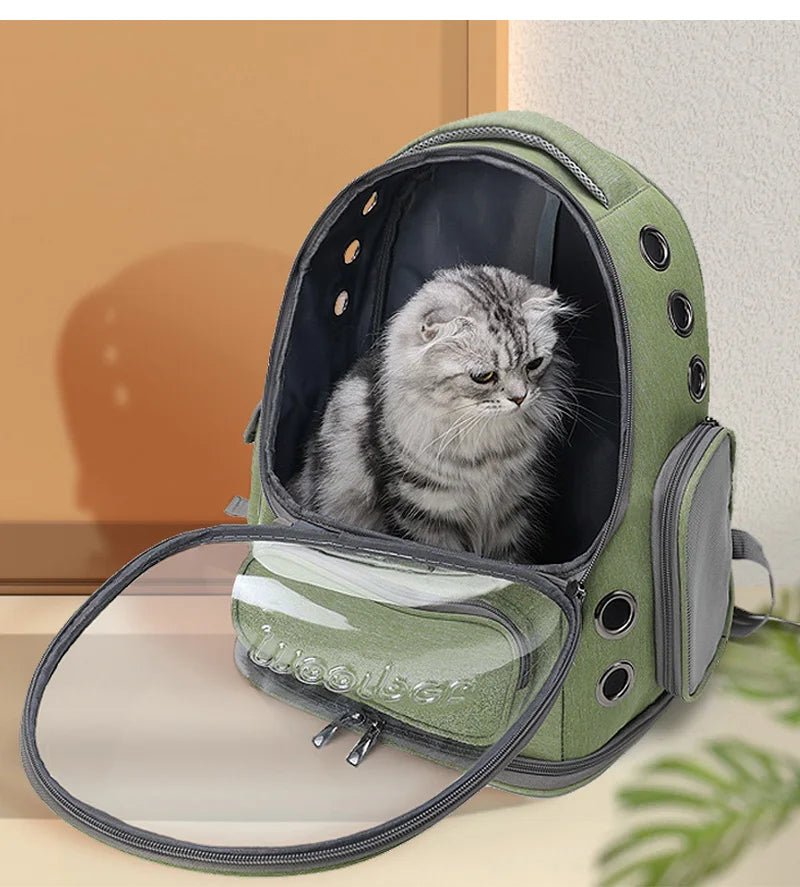 Sac à dos transparent pour chat & Petit chien | Transport aéré & Élégant en voyage