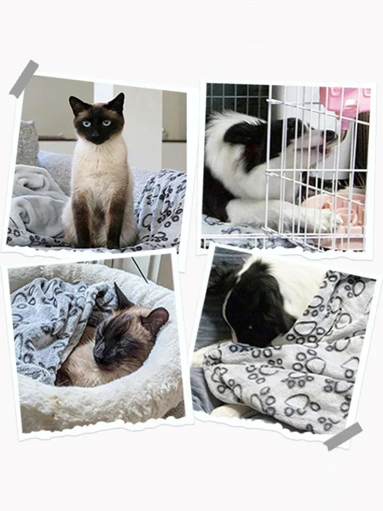 Couverture moelleuse premium pour animaux | Motif mignon ; Douceur absolue pour chien &chat