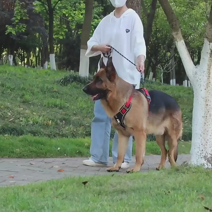 Harnais tactique réfléchissant pour grand chien – Gilet de sécurité imperméable anti traction