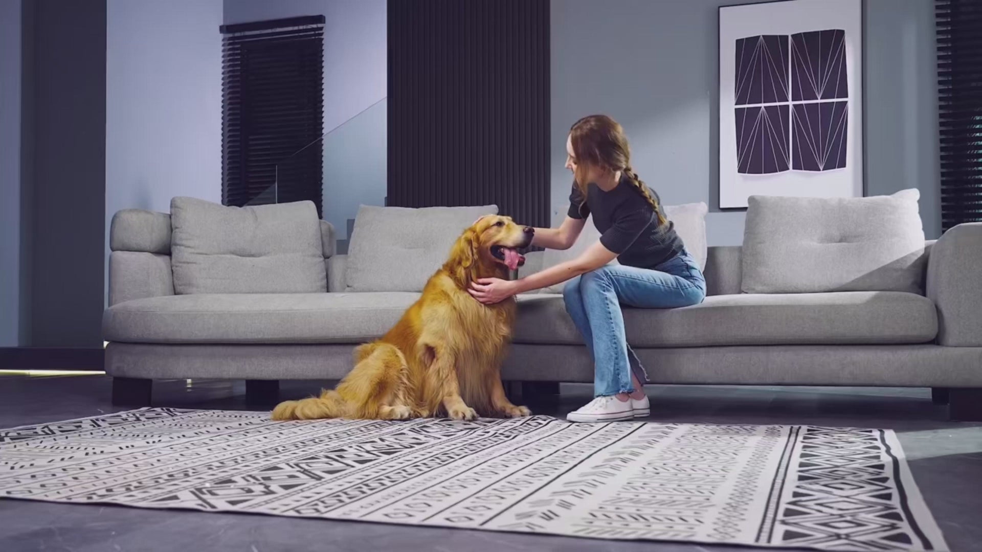 Aspirateur et kit de toilettage pour animaux de compagnie