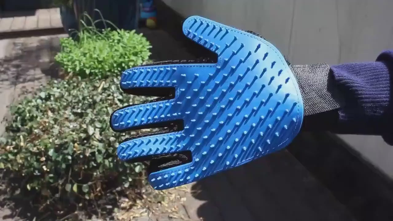 Gants de toilettage pour animaux de compagnie